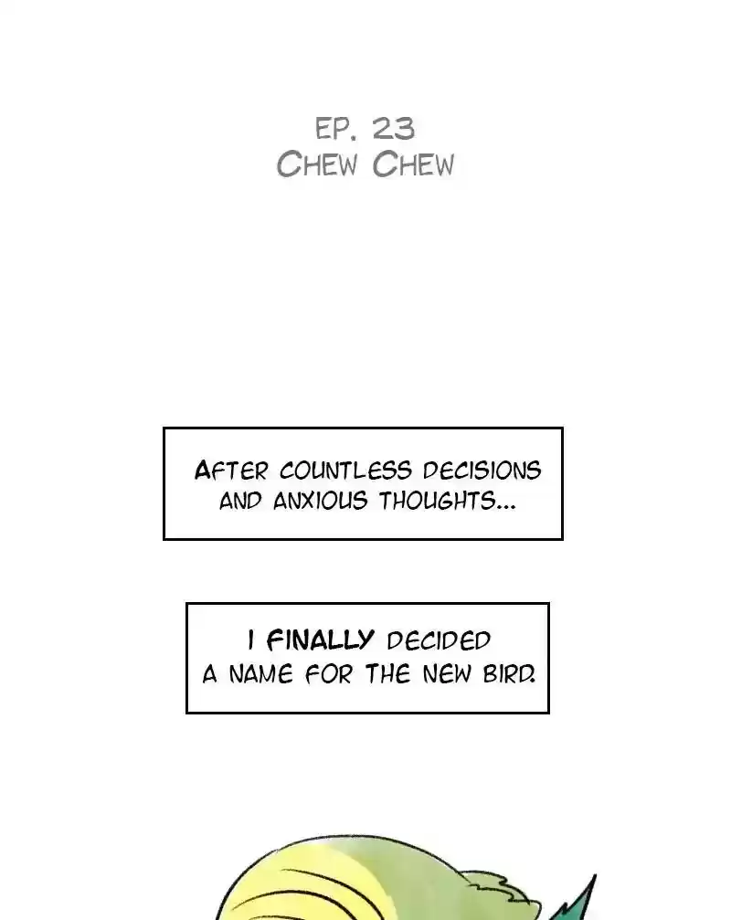 A Budgie's Life Chapter 23: Ep.23: