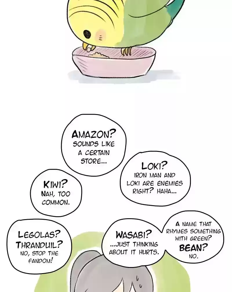 A Budgie's Life Chapter 23: Ep.23:
