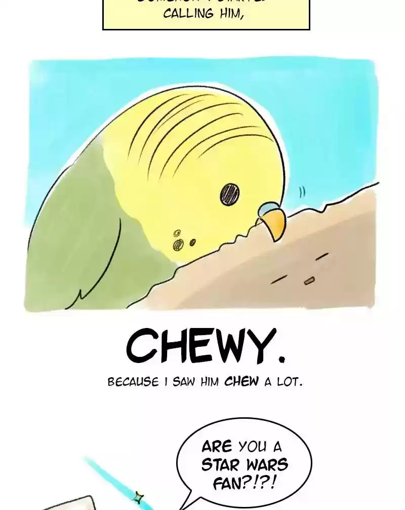A Budgie's Life Chapter 23: Ep.23: