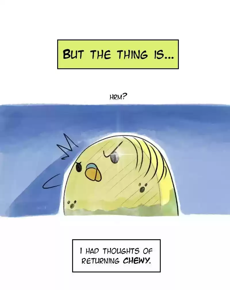 A Budgie's Life Chapter 23: Ep.23: