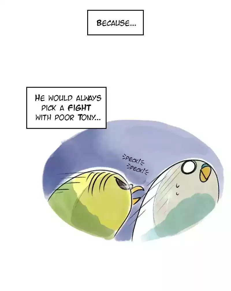 A Budgie's Life Chapter 23: Ep.23: