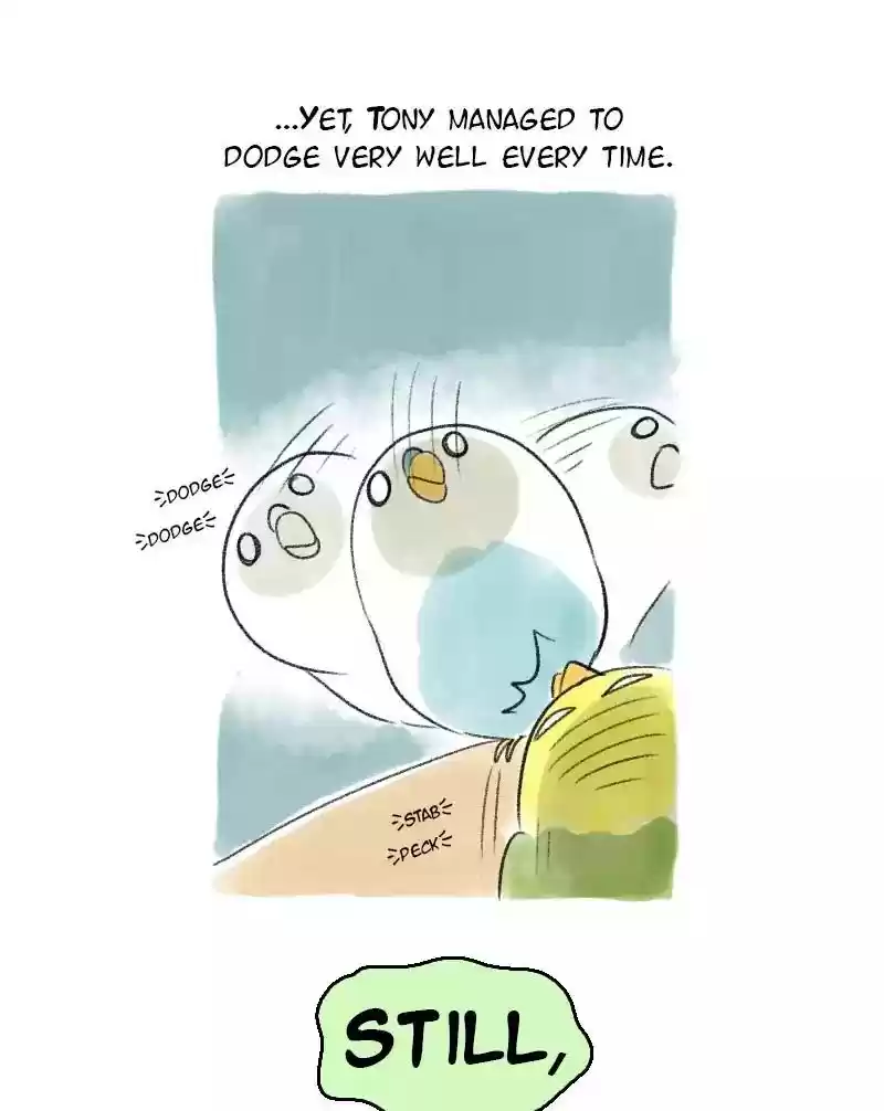 A Budgie's Life Chapter 23: Ep.23: