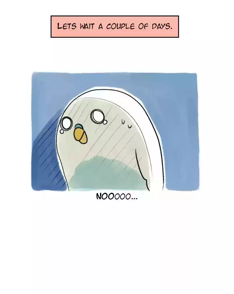 A Budgie's Life Chapter 23: Ep.23: