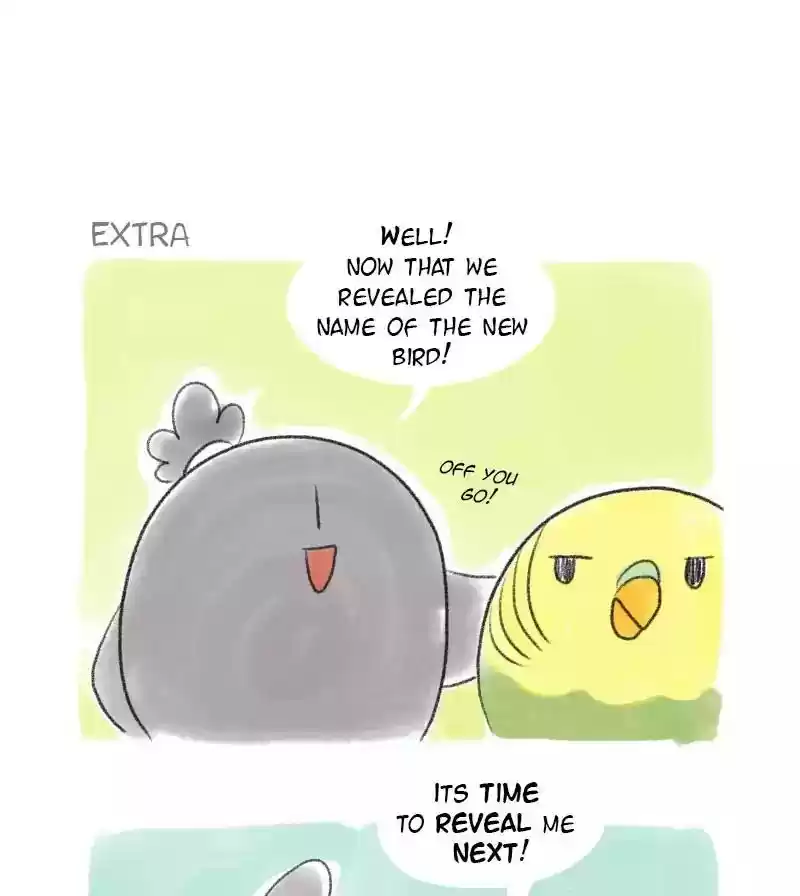 A Budgie's Life Chapter 23: Ep.23: