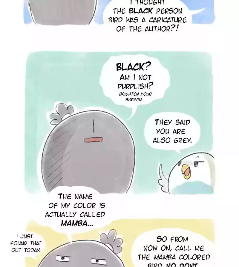 A Budgie's Life Chapter 23: Ep.23: