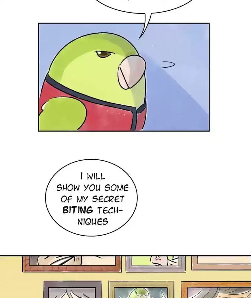 A Budgie's Life Chapter 230: Ep.229: