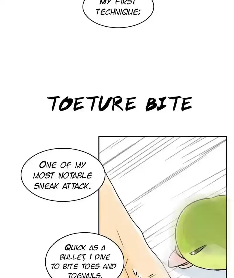 A Budgie's Life Chapter 230: Ep.229: