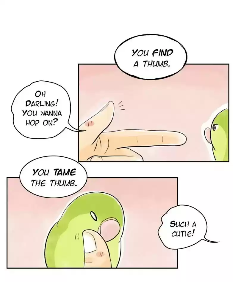 A Budgie's Life Chapter 230: Ep.229: