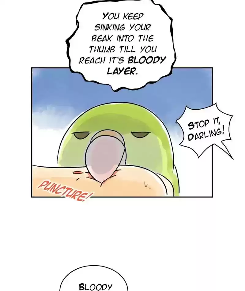 A Budgie's Life Chapter 230: Ep.229: