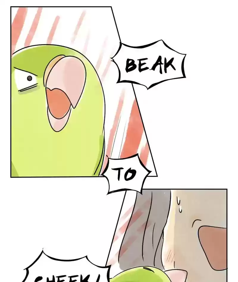 A Budgie's Life Chapter 230: Ep.229: