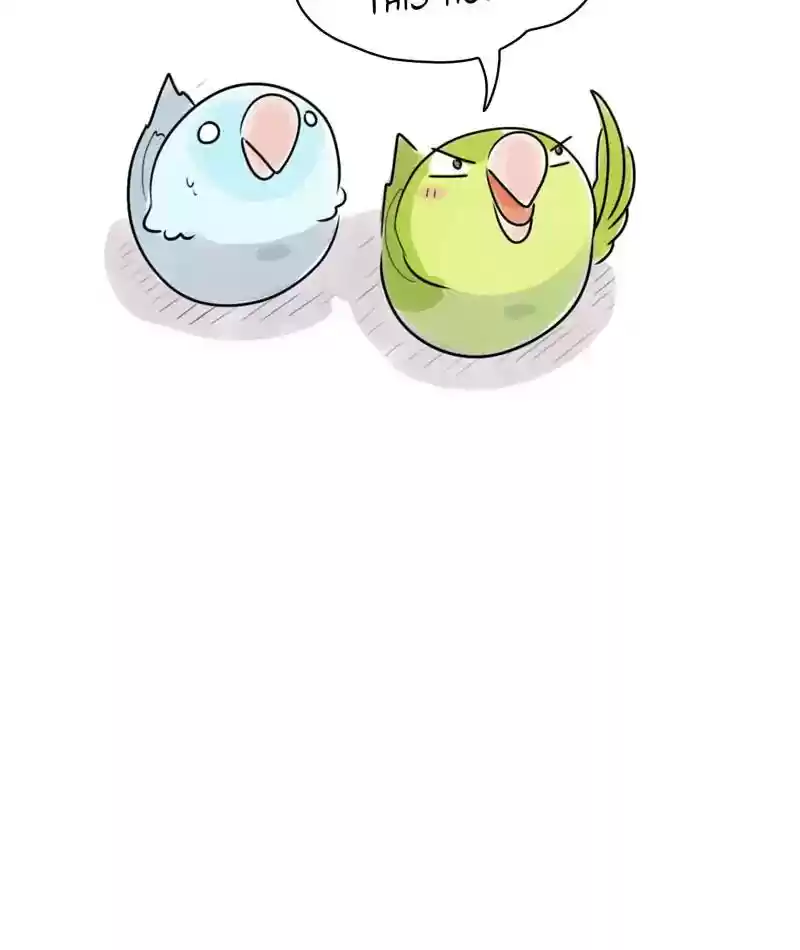 A Budgie's Life Chapter 230: Ep.229: