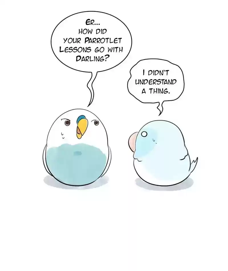 A Budgie's Life Chapter 230: Ep.229: