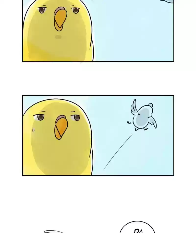A Budgie's Life Chapter 231: Ep.230: