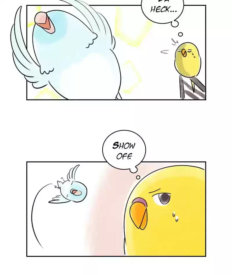 A Budgie's Life Chapter 231: Ep.230:
