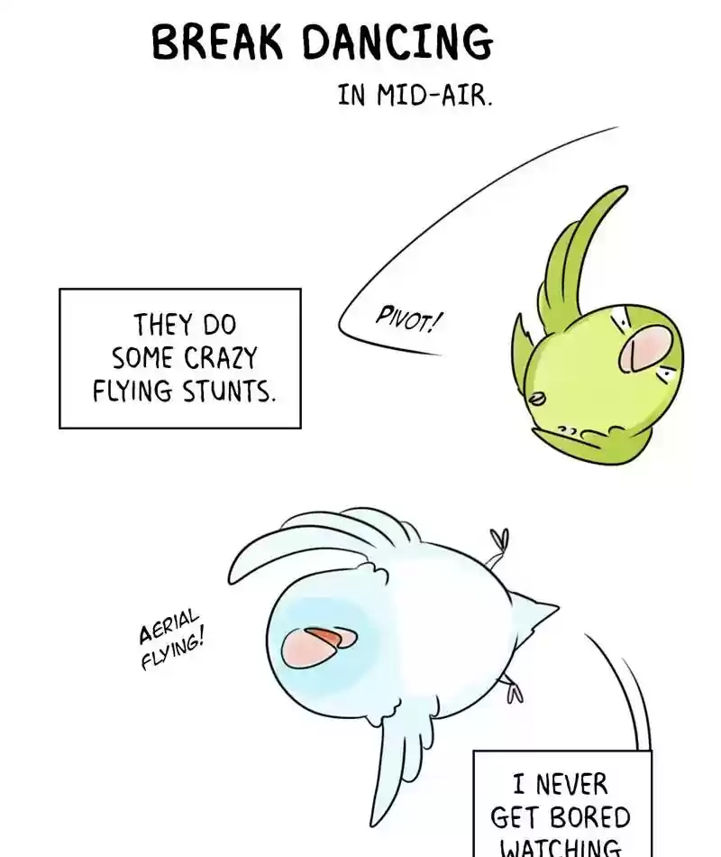 A Budgie's Life Chapter 231: Ep.230: