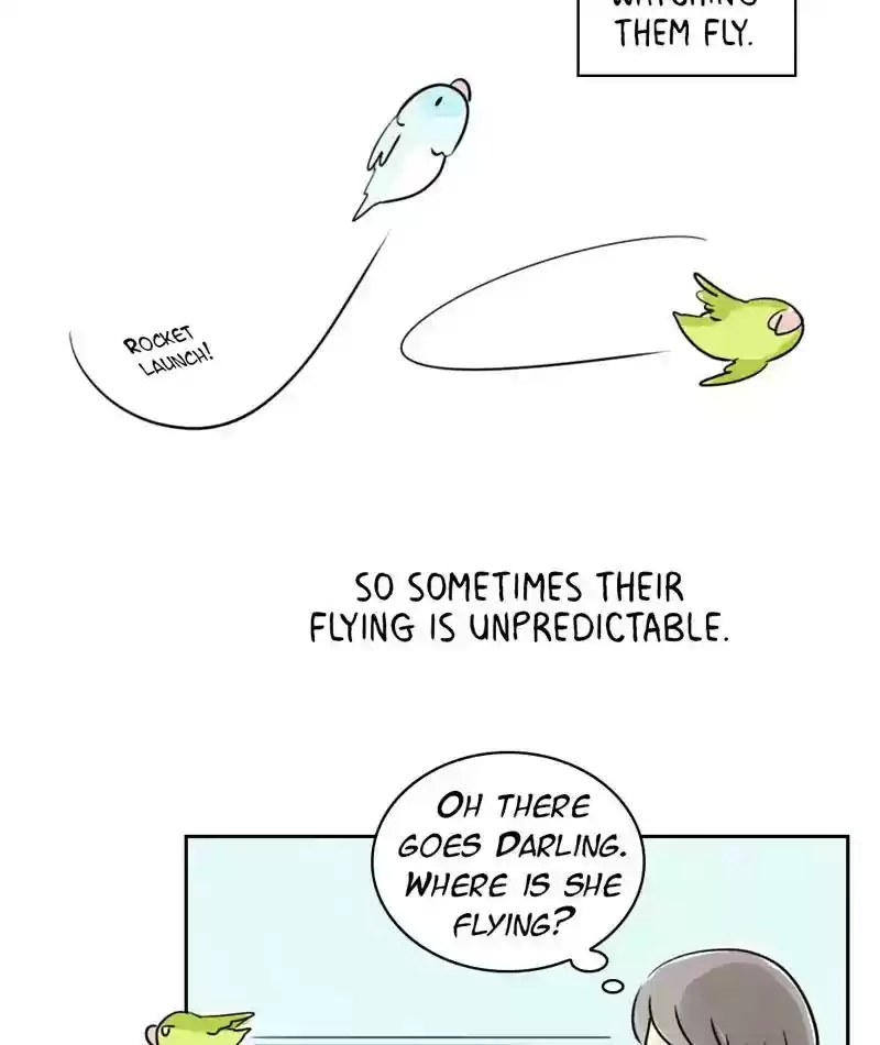 A Budgie's Life Chapter 231: Ep.230: