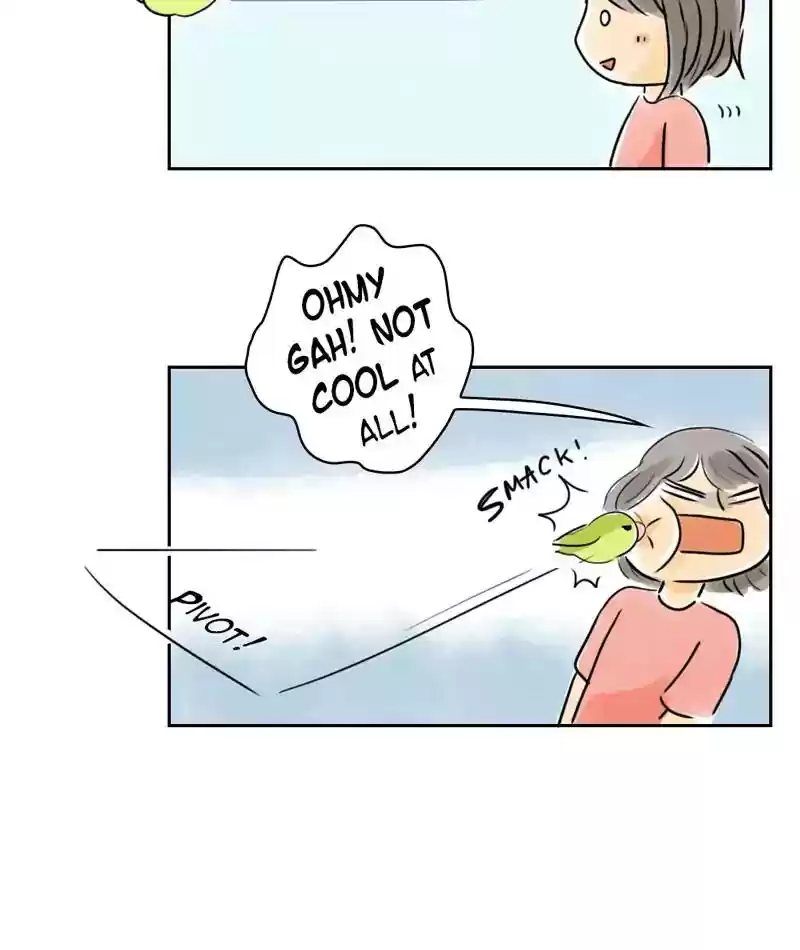 A Budgie's Life Chapter 231: Ep.230: