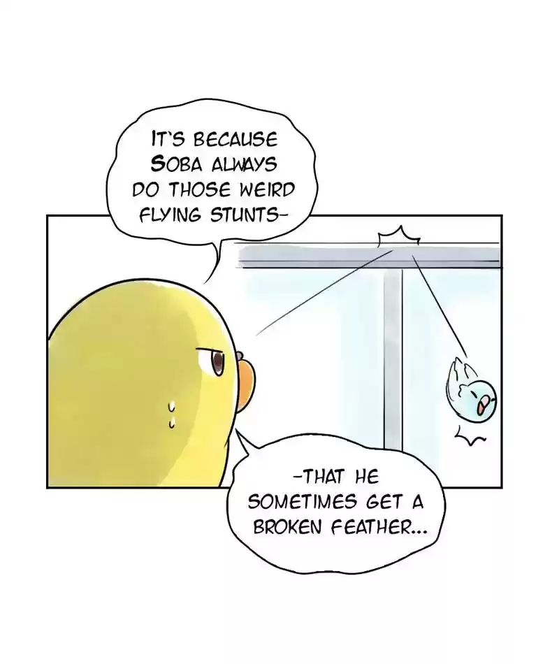 A Budgie's Life Chapter 231: Ep.230: