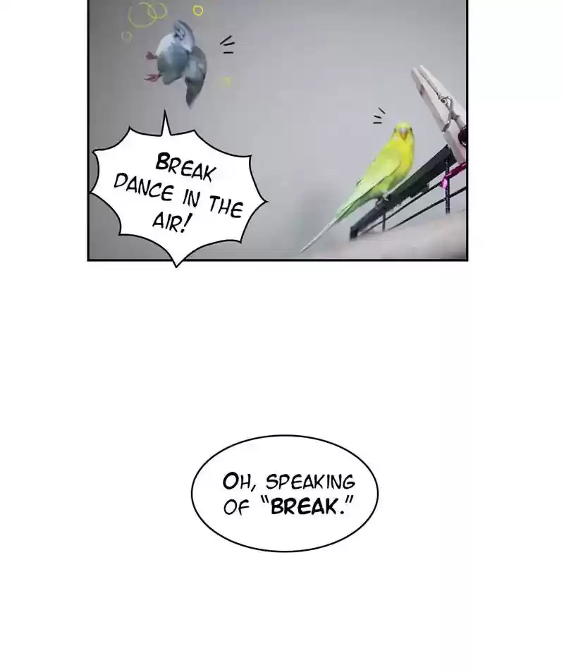 A Budgie's Life Chapter 231: Ep.230: