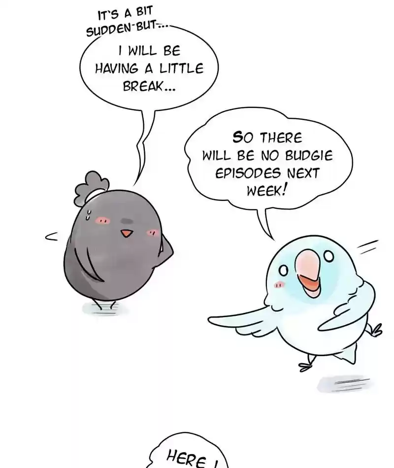 A Budgie's Life Chapter 231: Ep.230:
