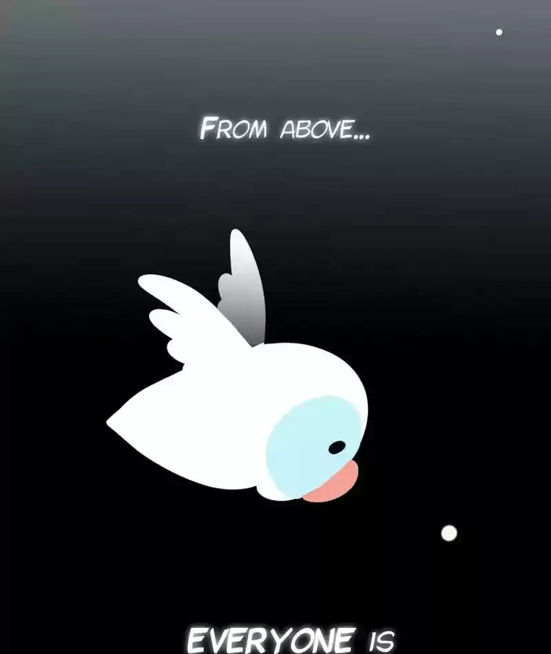 A Budgie's Life Chapter 232: Ep.231: