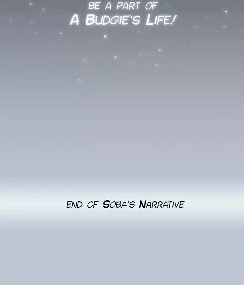 A Budgie's Life Chapter 232: Ep.231: