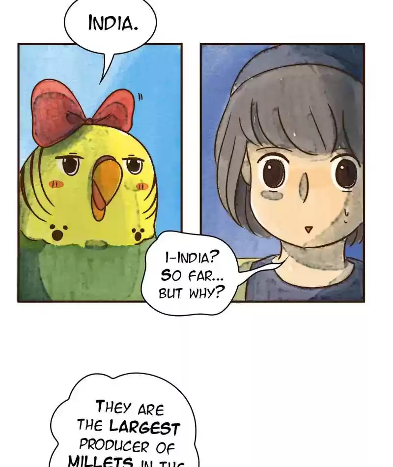 A Budgie's Life Chapter 233: Ep.232: