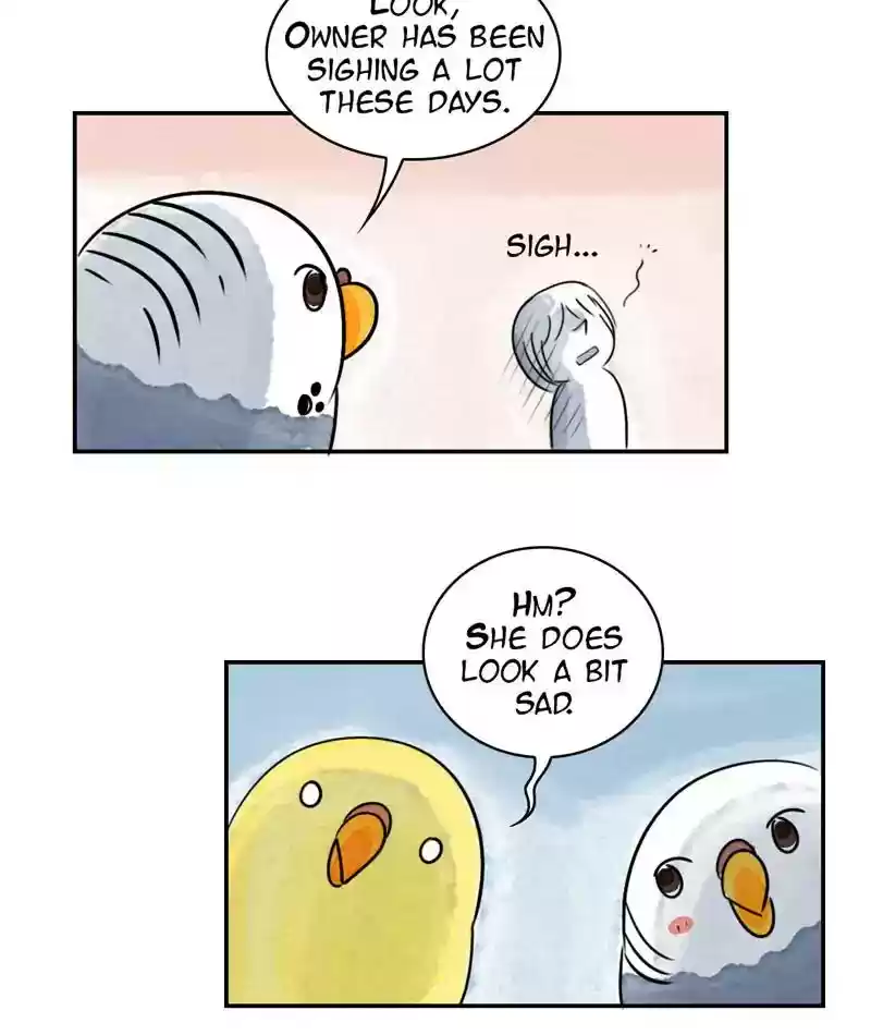 A Budgie's Life Chapter 234: Ep.233: