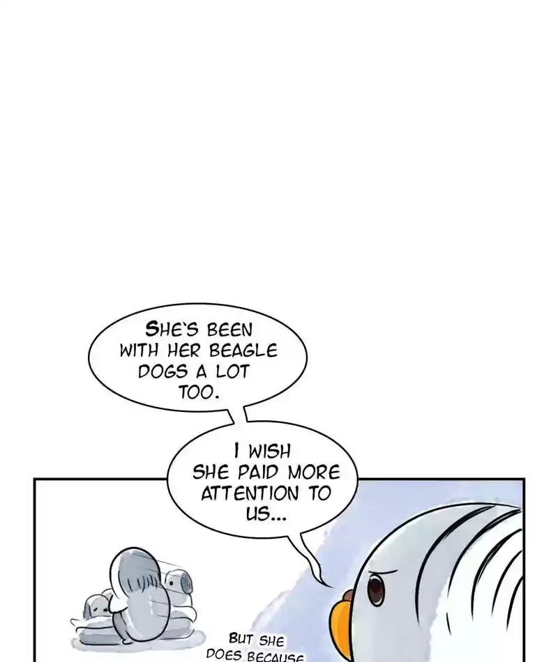 A Budgie's Life Chapter 234: Ep.233: