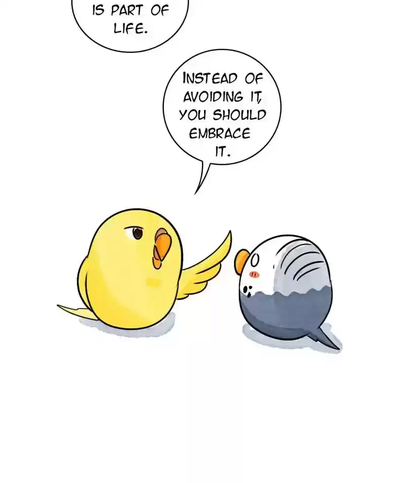 A Budgie's Life Chapter 234: Ep.233: