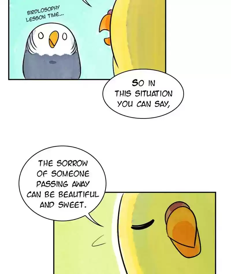 A Budgie's Life Chapter 234: Ep.233: