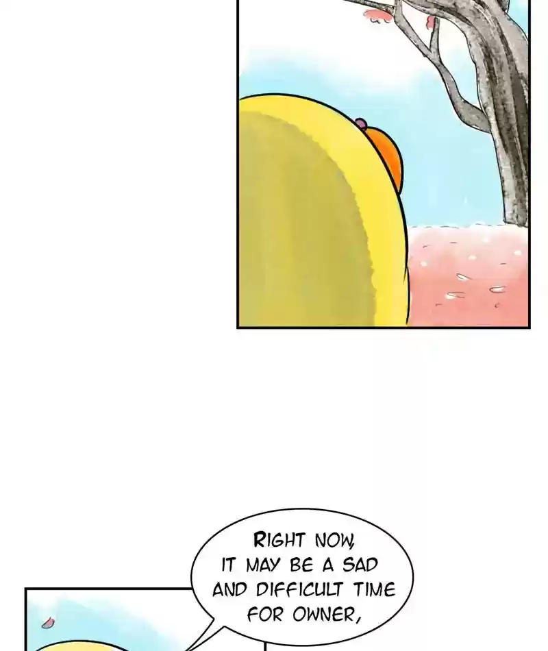 A Budgie's Life Chapter 234: Ep.233: