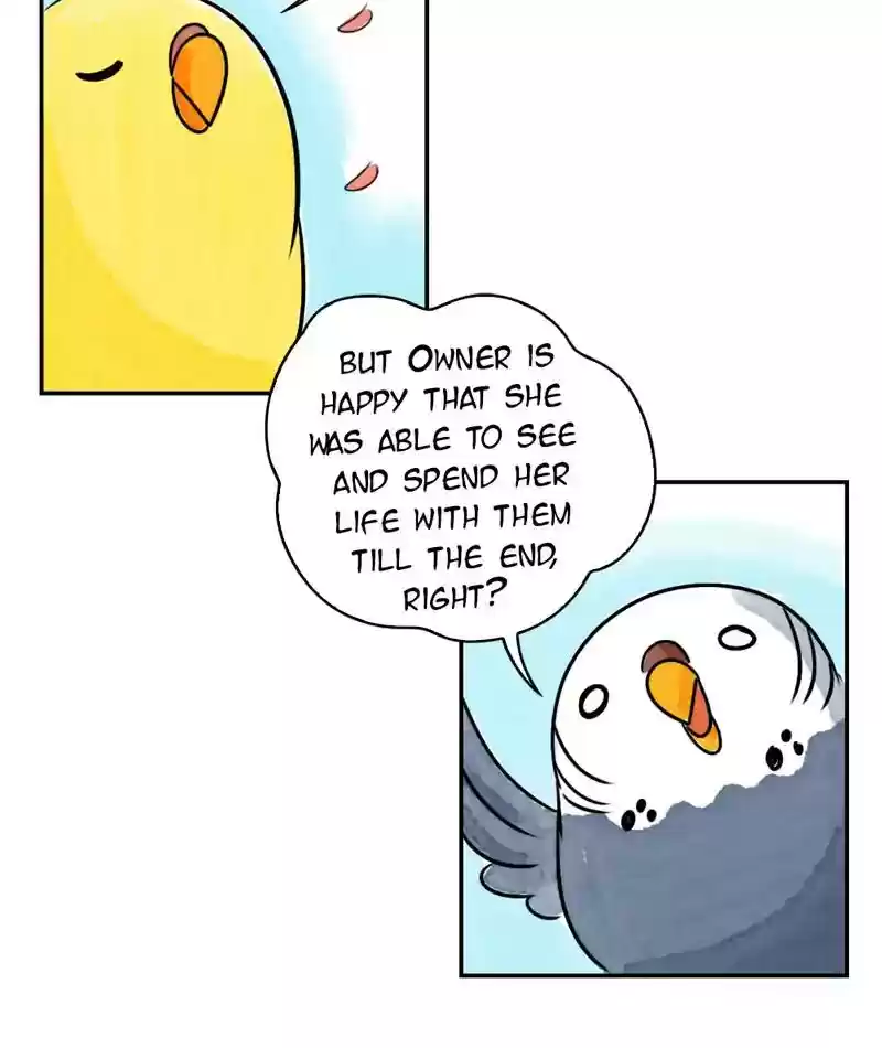 A Budgie's Life Chapter 234: Ep.233:
