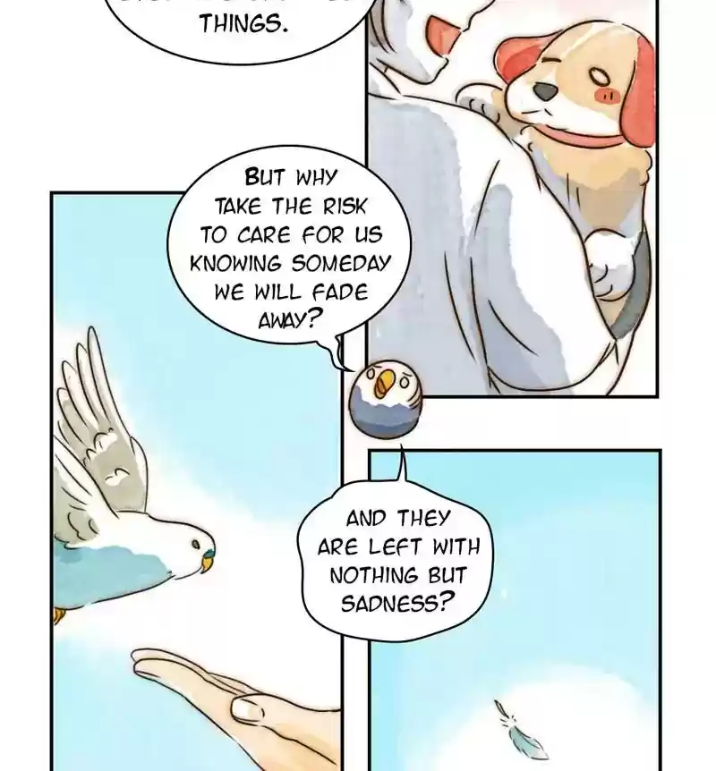 A Budgie's Life Chapter 234: Ep.233: