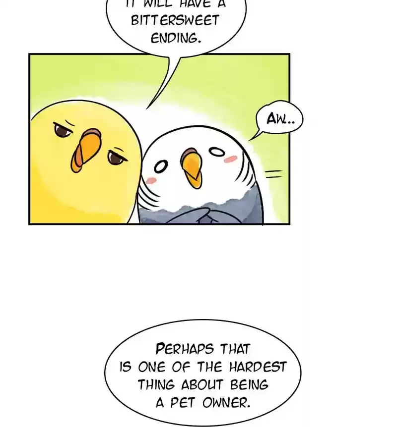 A Budgie's Life Chapter 234: Ep.233: