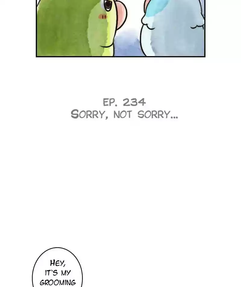 A Budgie's Life Chapter 235: Ep.234: