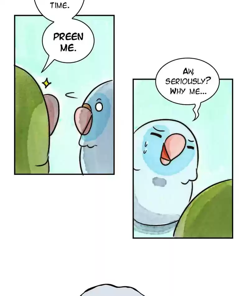A Budgie's Life Chapter 235: Ep.234: