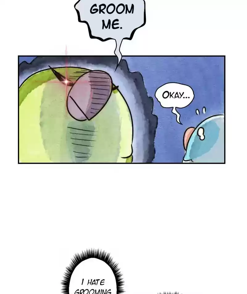 A Budgie's Life Chapter 235: Ep.234: