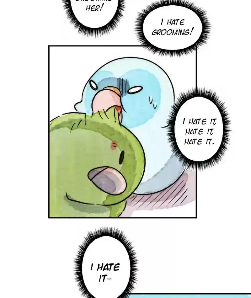 A Budgie's Life Chapter 235: Ep.234: