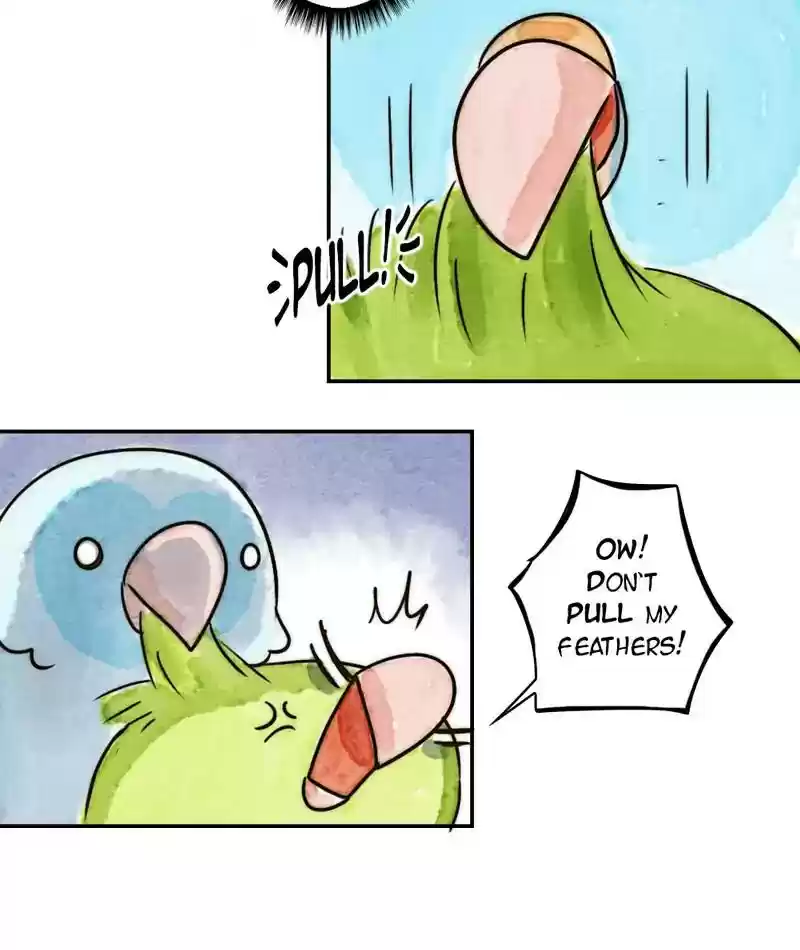 A Budgie's Life Chapter 235: Ep.234:
