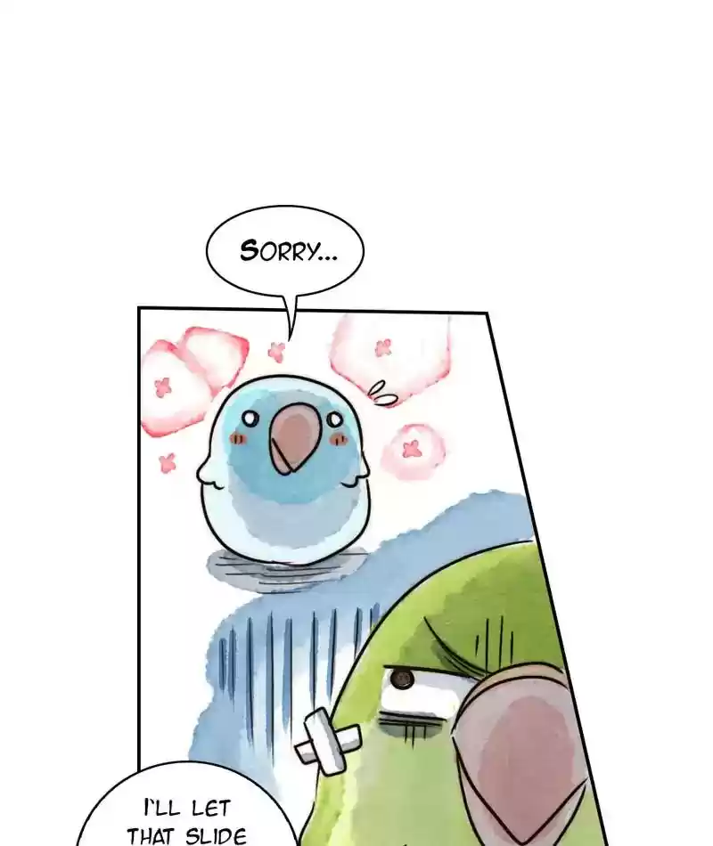 A Budgie's Life Chapter 235: Ep.234: