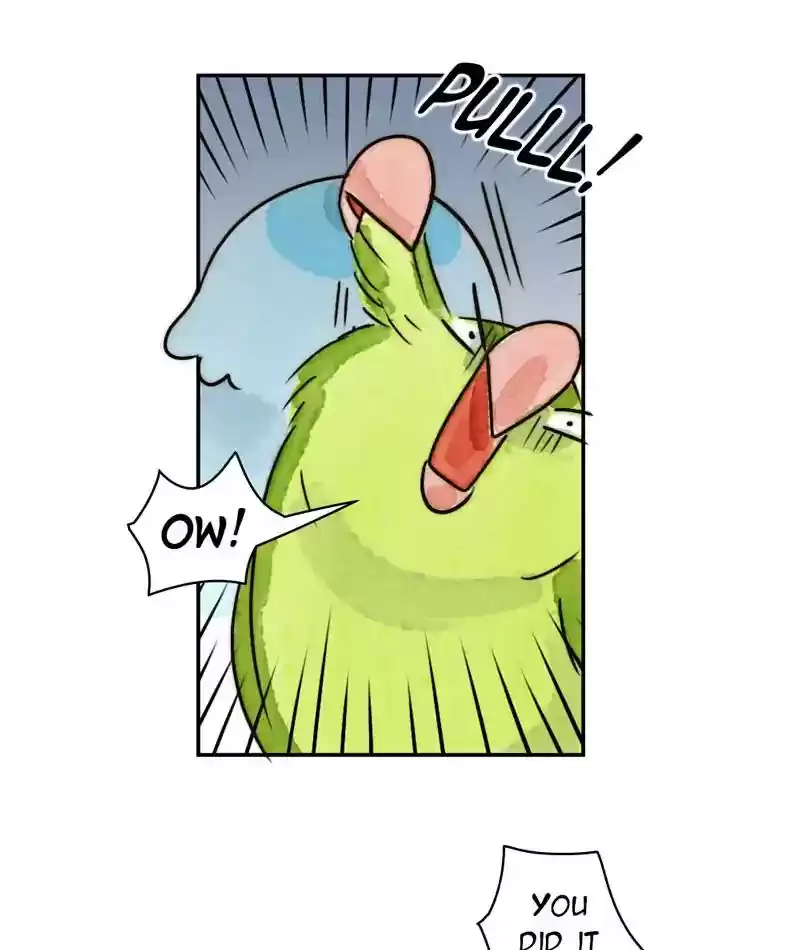 A Budgie's Life Chapter 235: Ep.234: