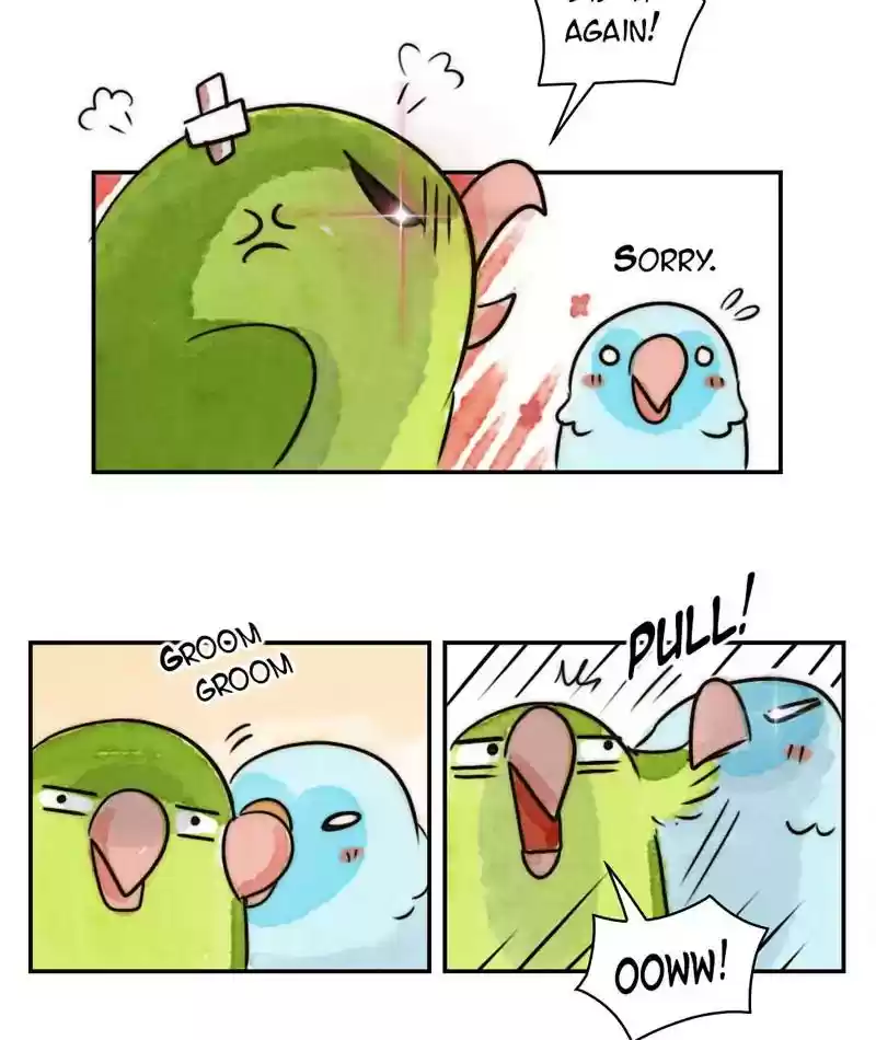 A Budgie's Life Chapter 235: Ep.234: