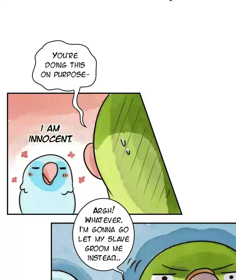 A Budgie's Life Chapter 235: Ep.234: