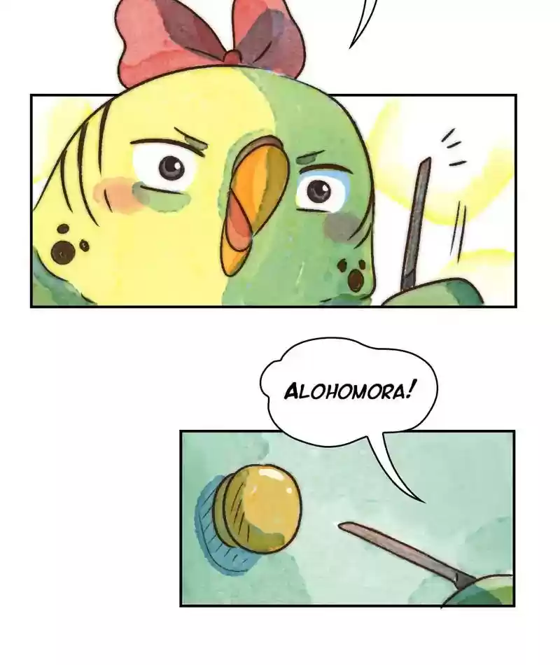 A Budgie's Life Chapter 236: Ep.235: