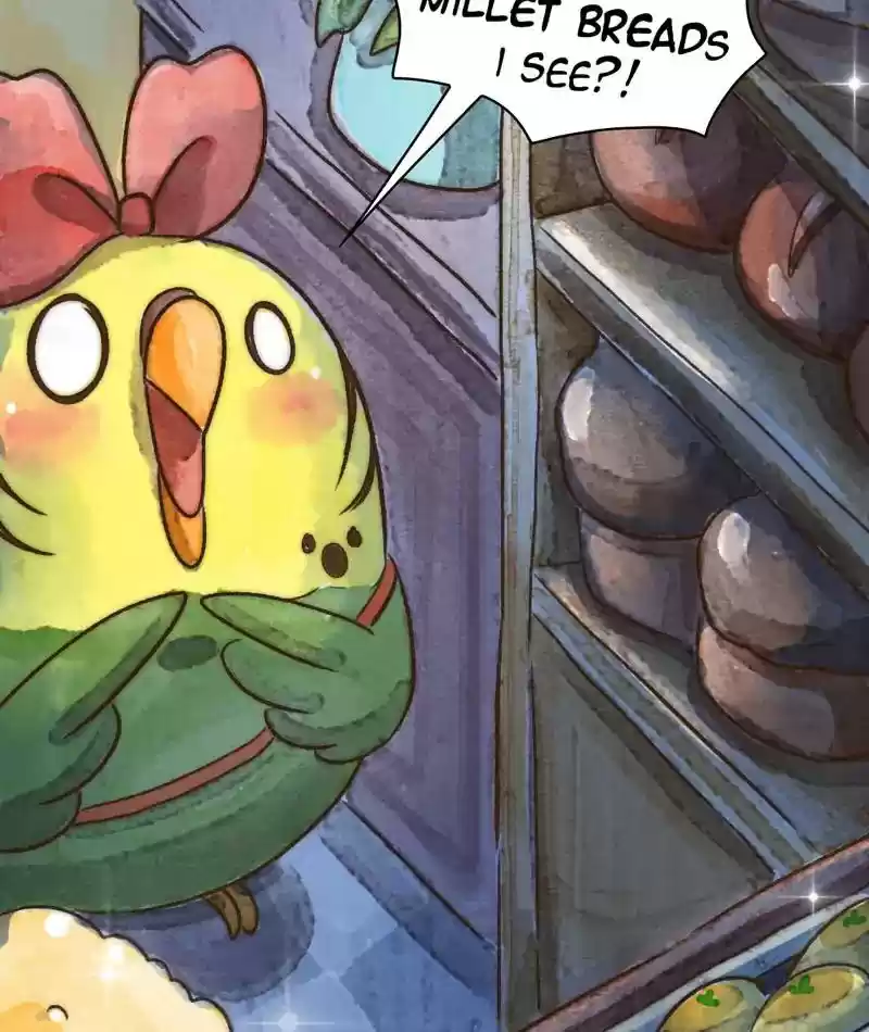 A Budgie's Life Chapter 236: Ep.235: