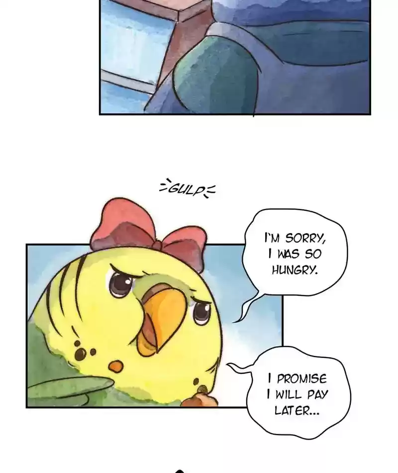 A Budgie's Life Chapter 236: Ep.235: