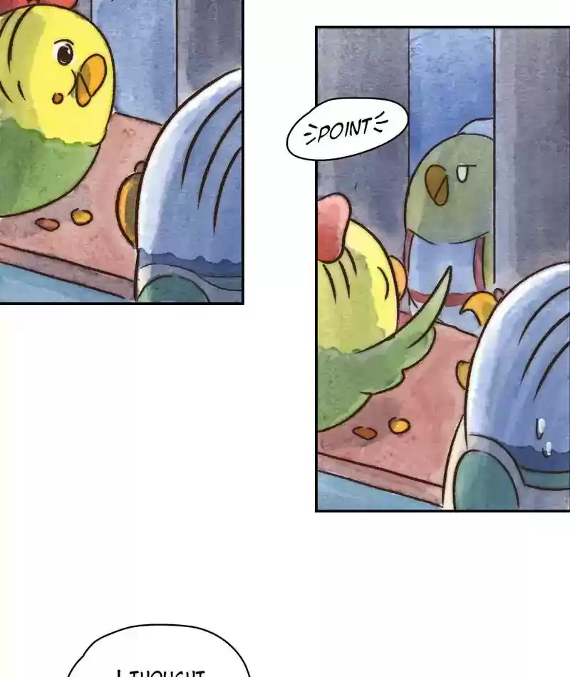 A Budgie's Life Chapter 236: Ep.235: