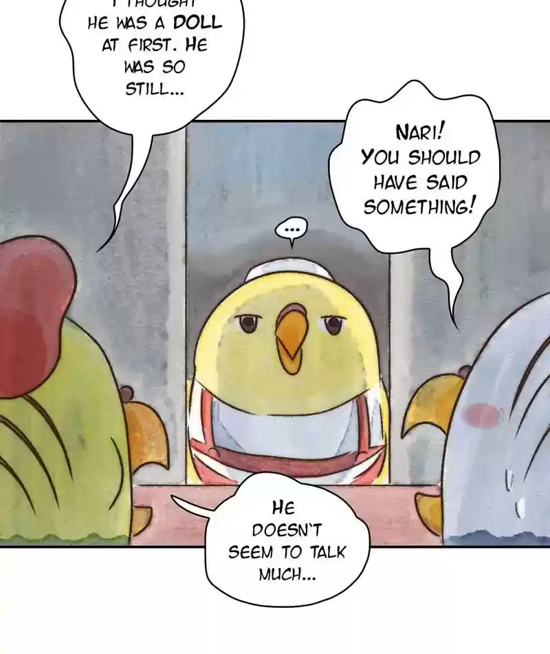 A Budgie's Life Chapter 236: Ep.235: