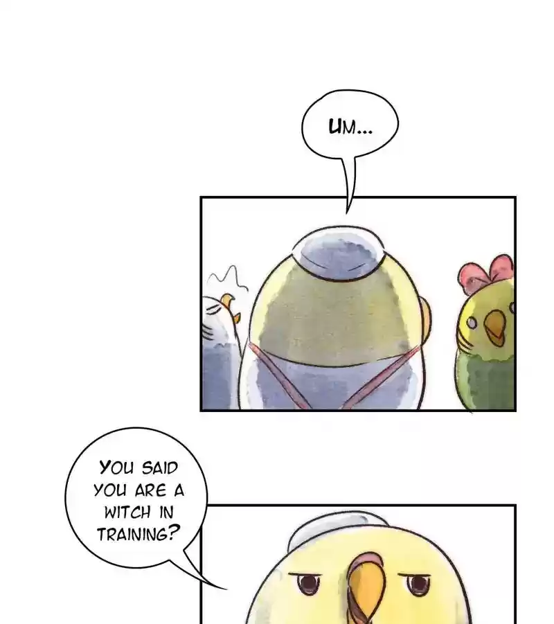 A Budgie's Life Chapter 236: Ep.235: